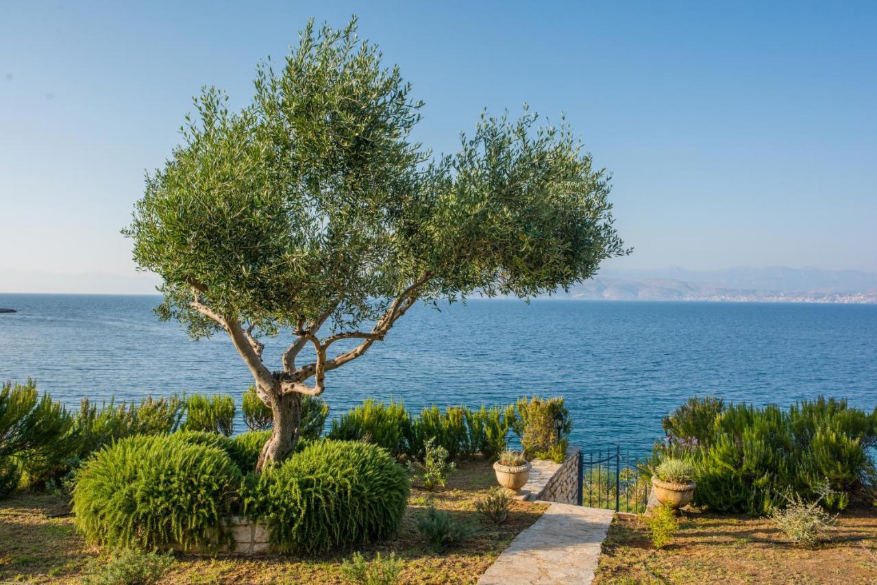 Villa Aliki Kassiopi Bagian luar foto